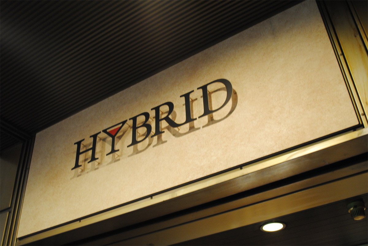 HYBRID04